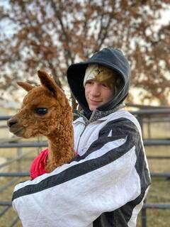 Camper submitted image from Windbreak Farm Alpacas - 3