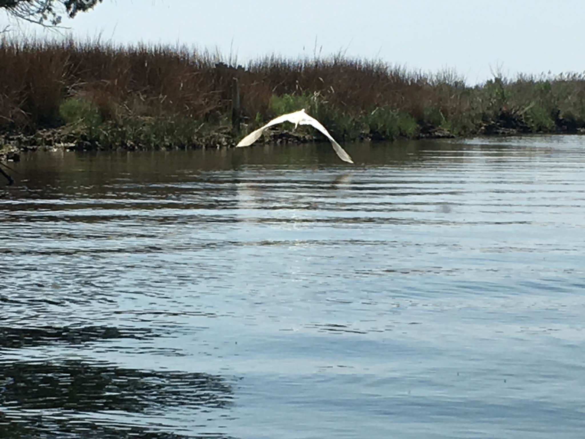 Camper-submitted photo at Janes Island State Park Campground near St. Leonard, MD