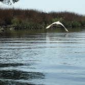 Review photo of Janes Island State Park Campground by Robyn B., July 25, 2018