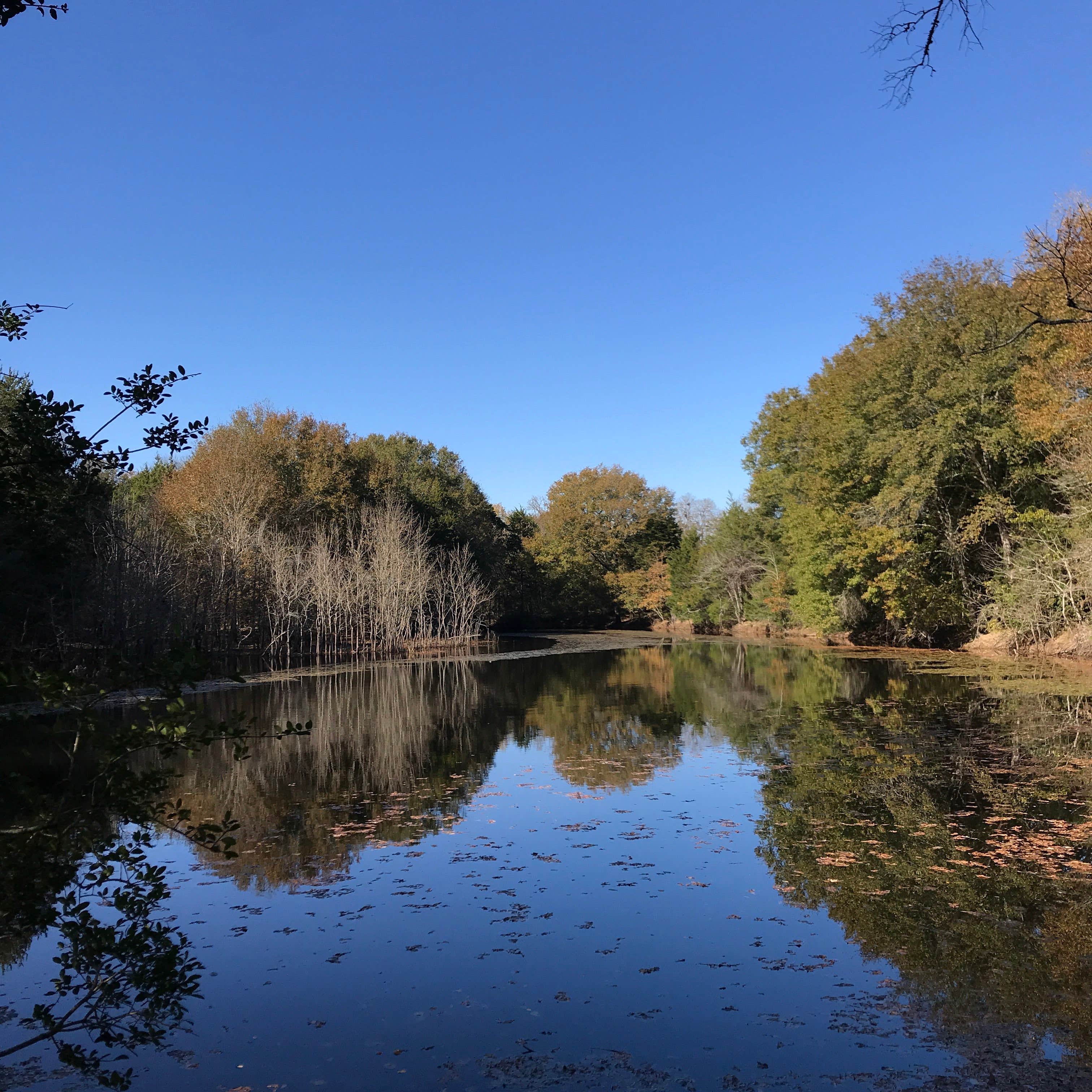 Camper-submitted photo at Lawley Land near Mexia, TX