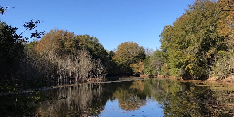 Camper submitted image from Lawley Land