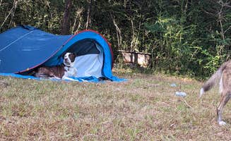 William L.'s photo at Lawley Land near Mexia, TX