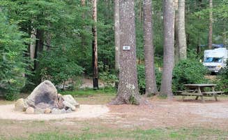 Jean R.'s photo at Pinewood Lodge Campground near Quincy, MA