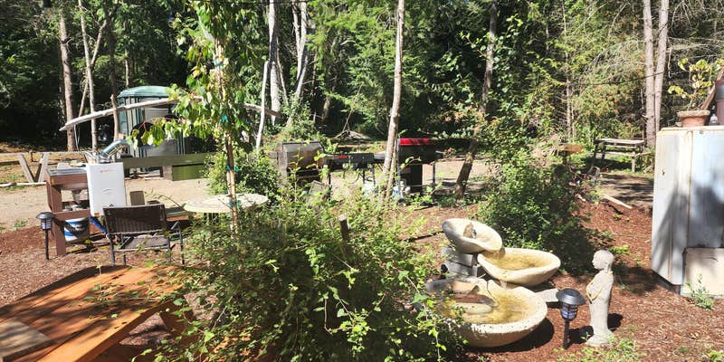 Camper submitted image from Cedar Glen