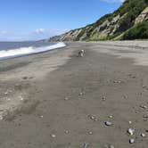 Review photo of Clam Gulch State Rec Area by Kyla M., July 25, 2018