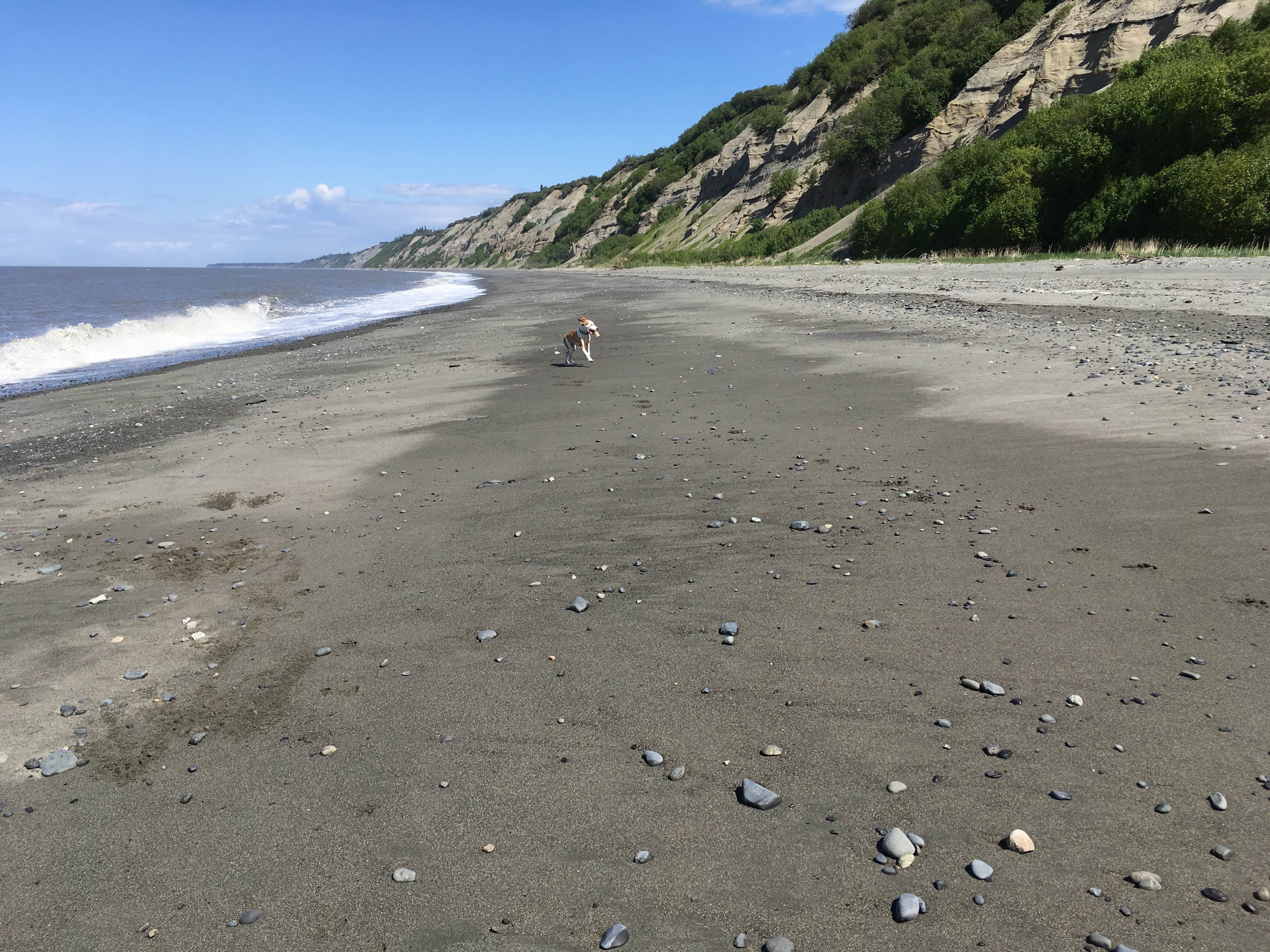 Camper submitted image from Clam Gulch State Rec Area - 3