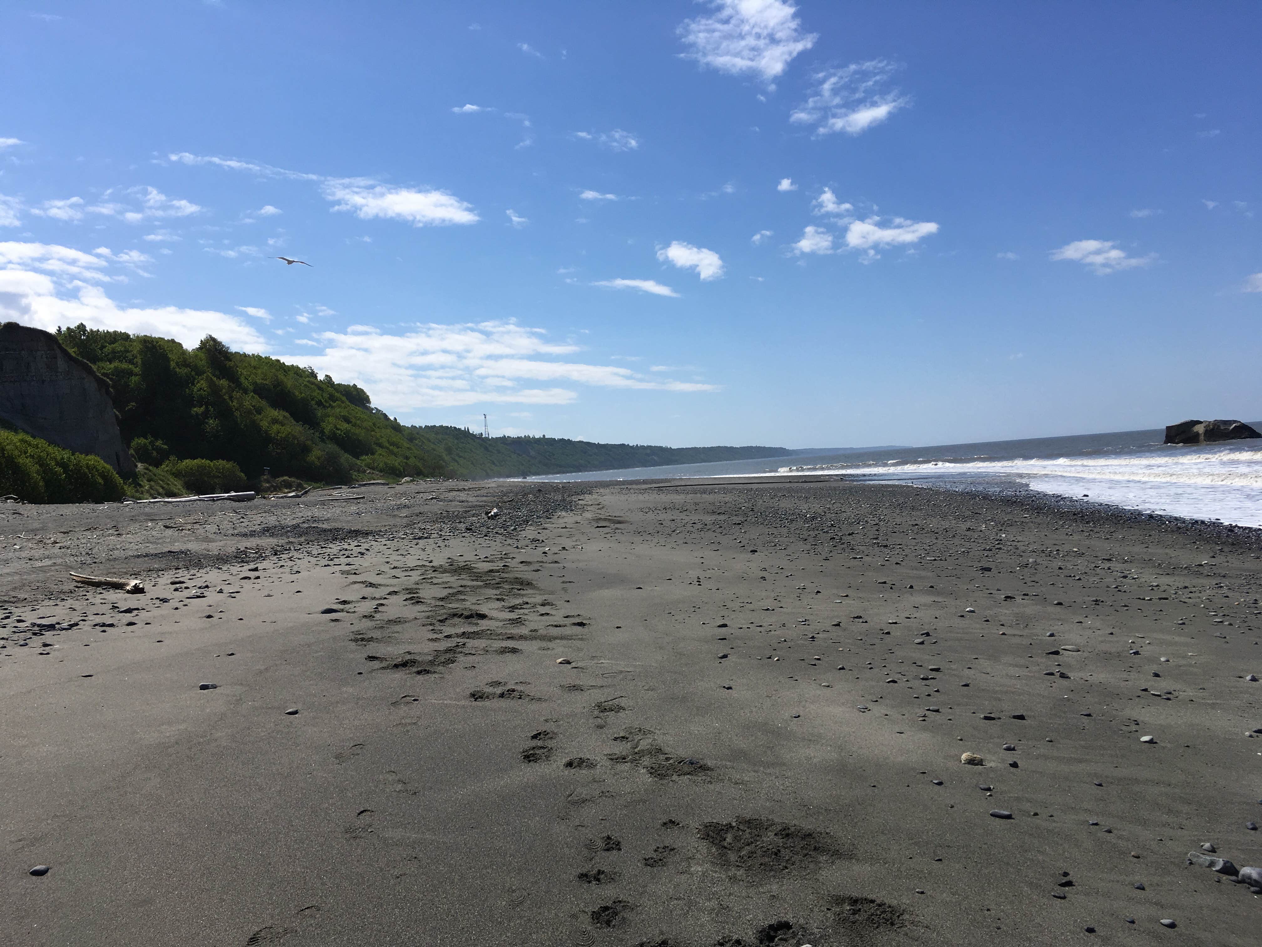 Camper submitted image from Clam Gulch State Rec Area - 2