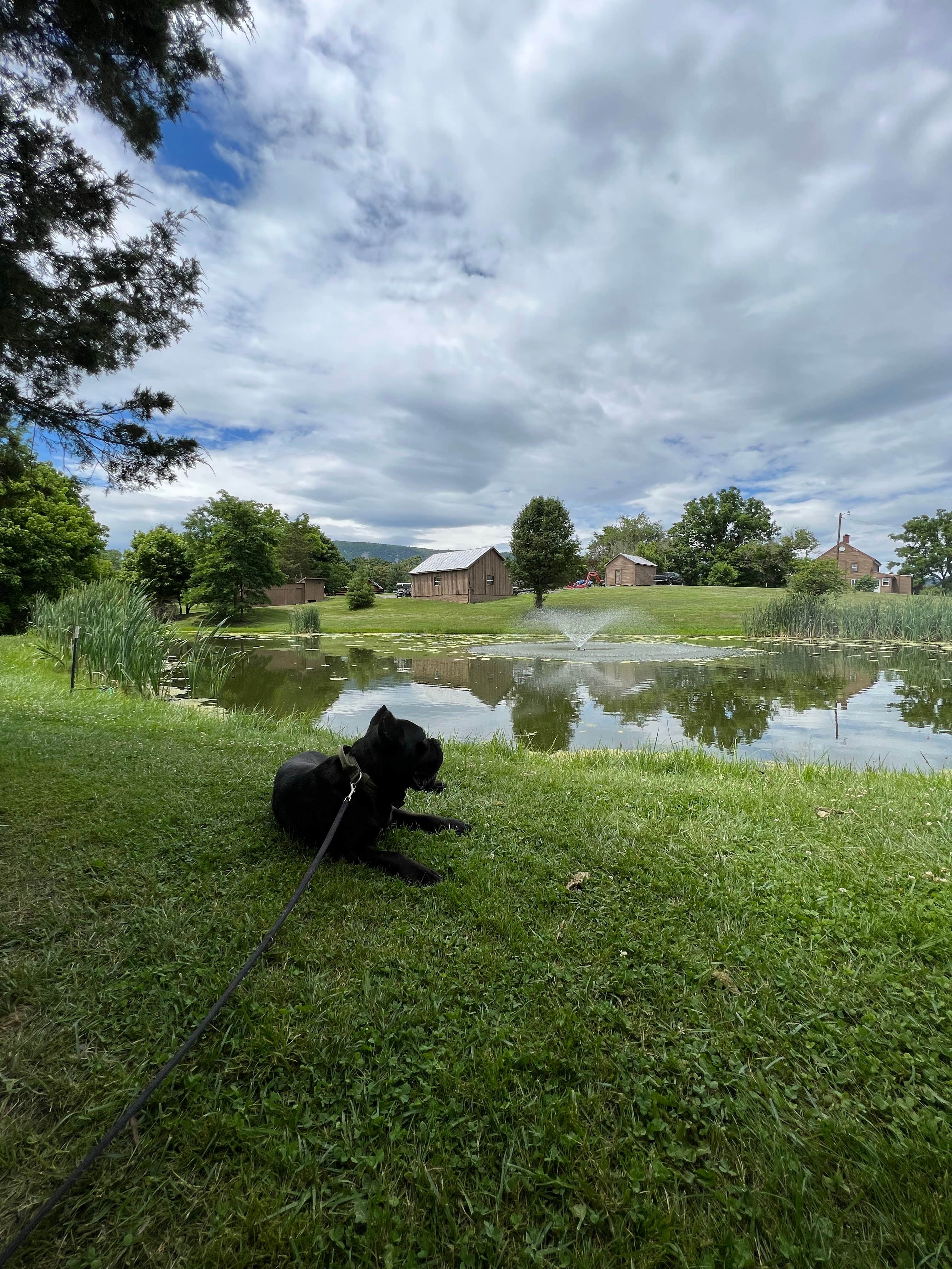Casey L.'s photo of camping with pets at Luray RV Resort on Shenandoah River near Harrisonburg, VA