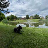 Review photo of Luray RV Resort on Shenandoah River by Casey L., June 22, 2022