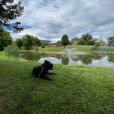 Review photo of Luray RV Resort on Shenandoah River  by Casey L., June 22, 2022