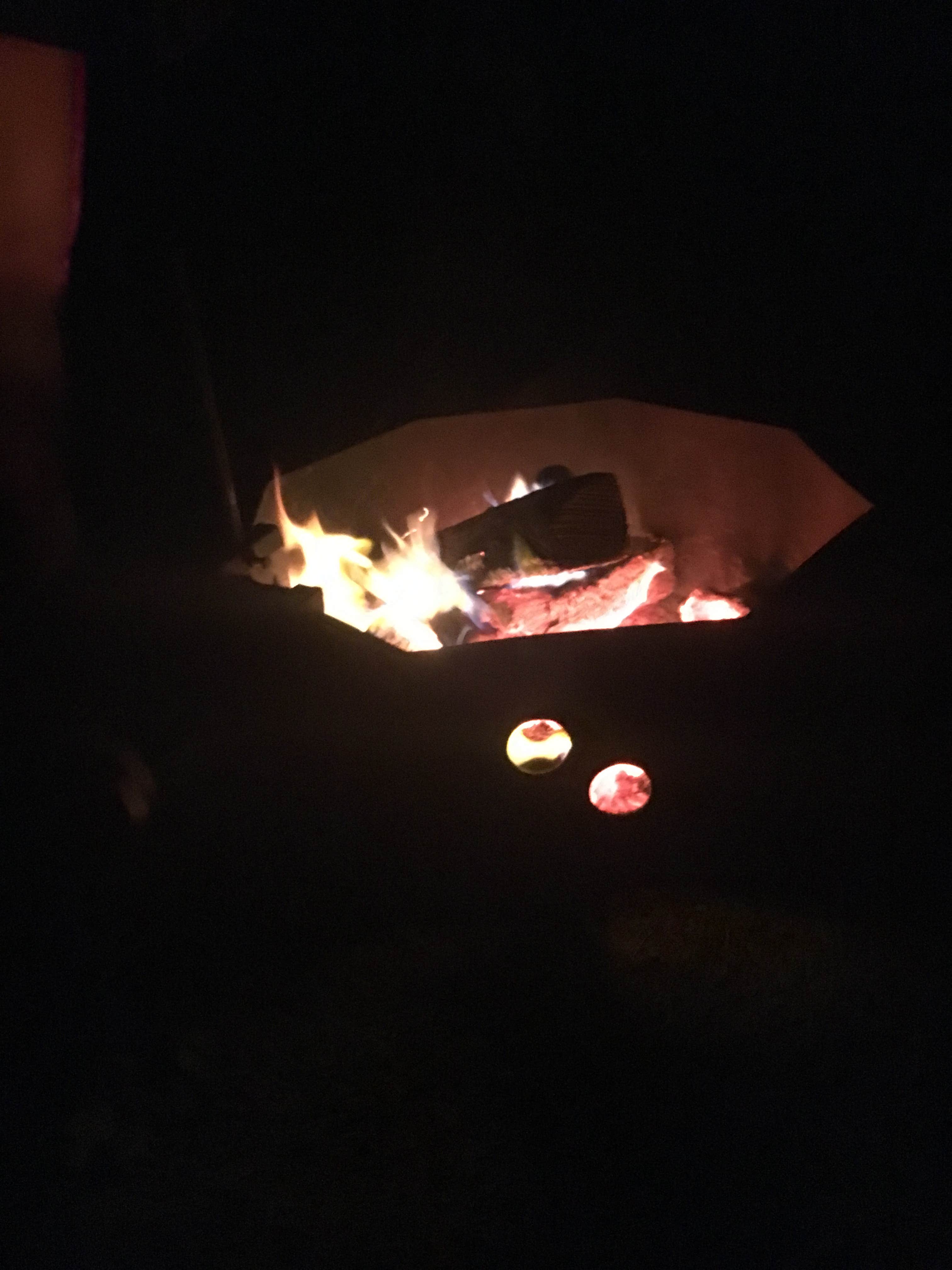 Camper submitted image from Twin Ponds Resort Campsite - 4