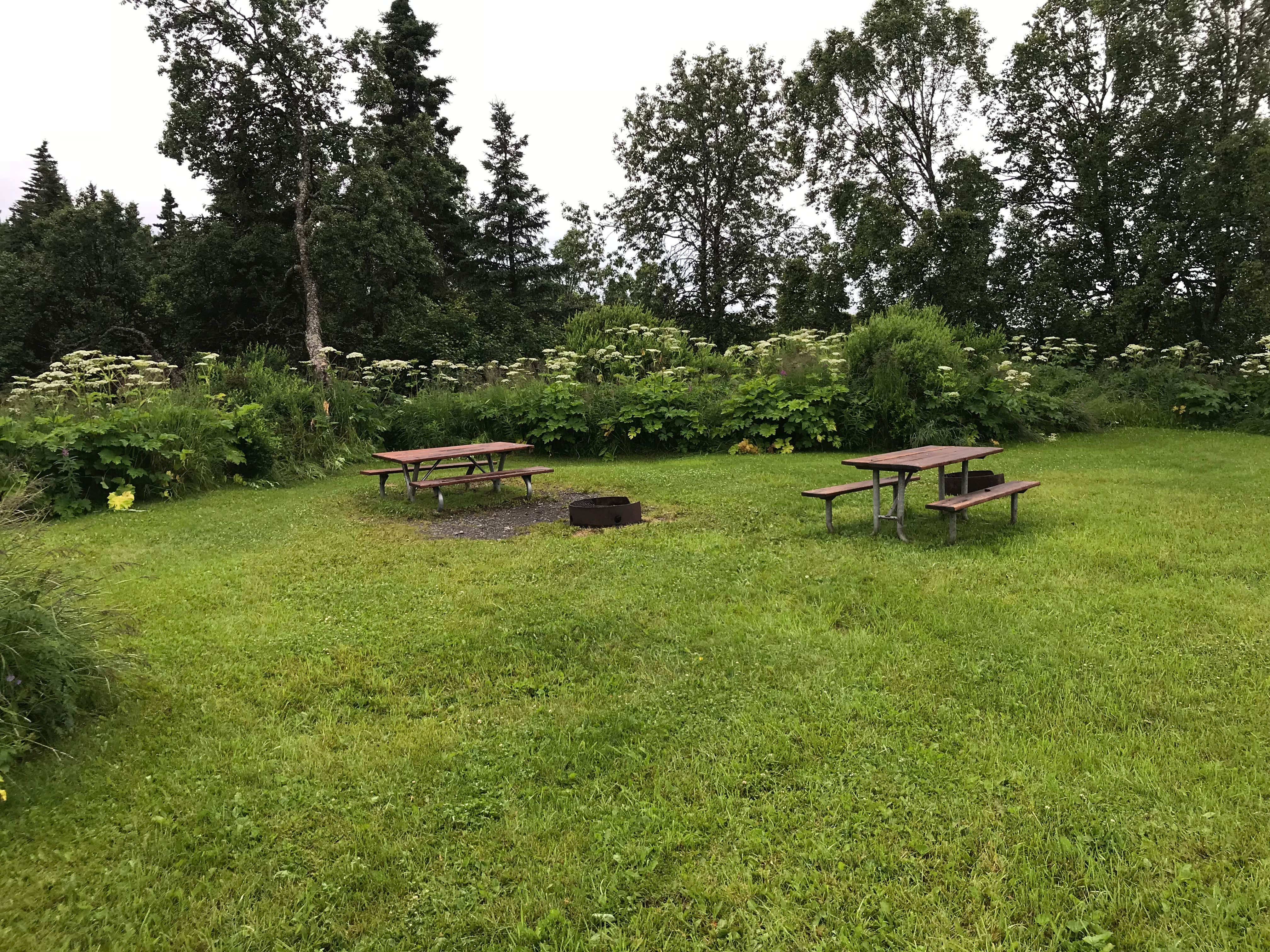 Camper-submitted photo at Clam Gulch State Rec Area near Kasilof, AK