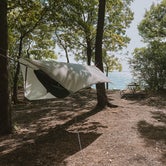 Review photo of South Bass Island State Park Campground by Connor W., August 30, 2022
