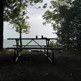 Review photo of South Bass Island State Park Campground by Connor W., August 30, 2022