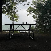Review photo of South Bass Island State Park by Connor W., August 30, 2022
