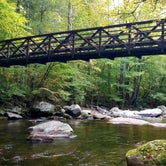 Review photo of Big Creek Campground — Great Smoky Mountains National Park by Katrin M., August 30, 2022