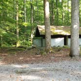 Review photo of Big Creek Campground — Great Smoky Mountains National Park by Katrin M., August 30, 2022