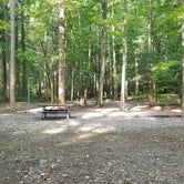 Review photo of Big Creek Campground — Great Smoky Mountains National Park by Katrin M., August 30, 2022