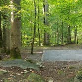 Review photo of Big Creek Campground — Great Smoky Mountains National Park by Katrin M., August 30, 2022