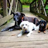 Review photo of Big Creek Campground — Great Smoky Mountains National Park by Katrin M., August 30, 2022