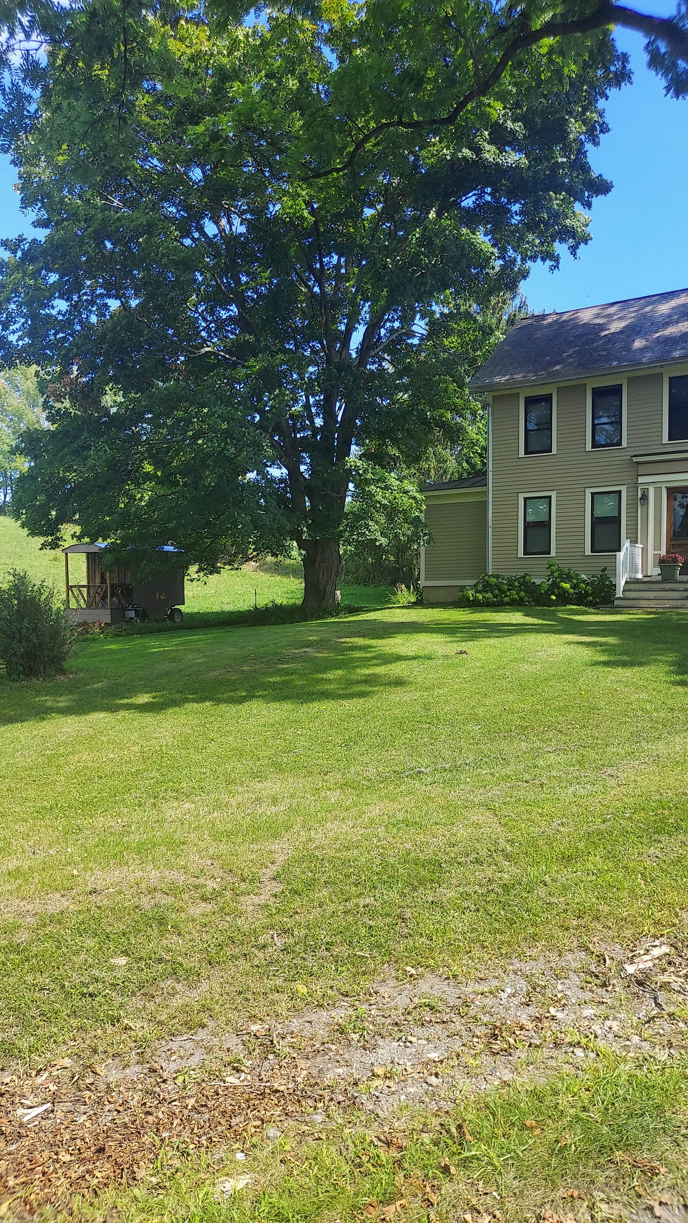 Camper-submitted photo at Birch Hollow Farm near Stillwater, NY