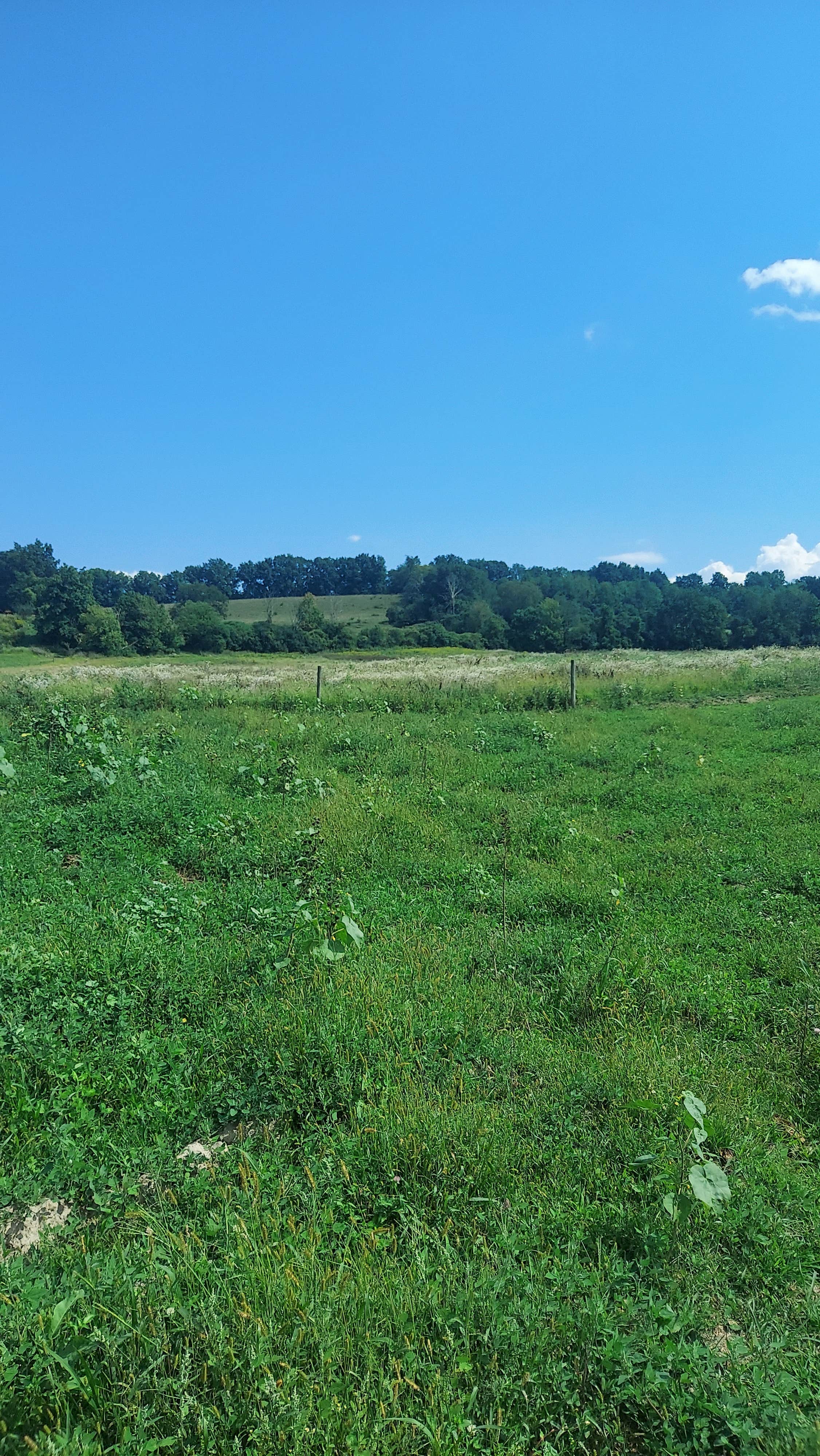Camper-submitted photo at Birch Hollow Farm near Stillwater, NY