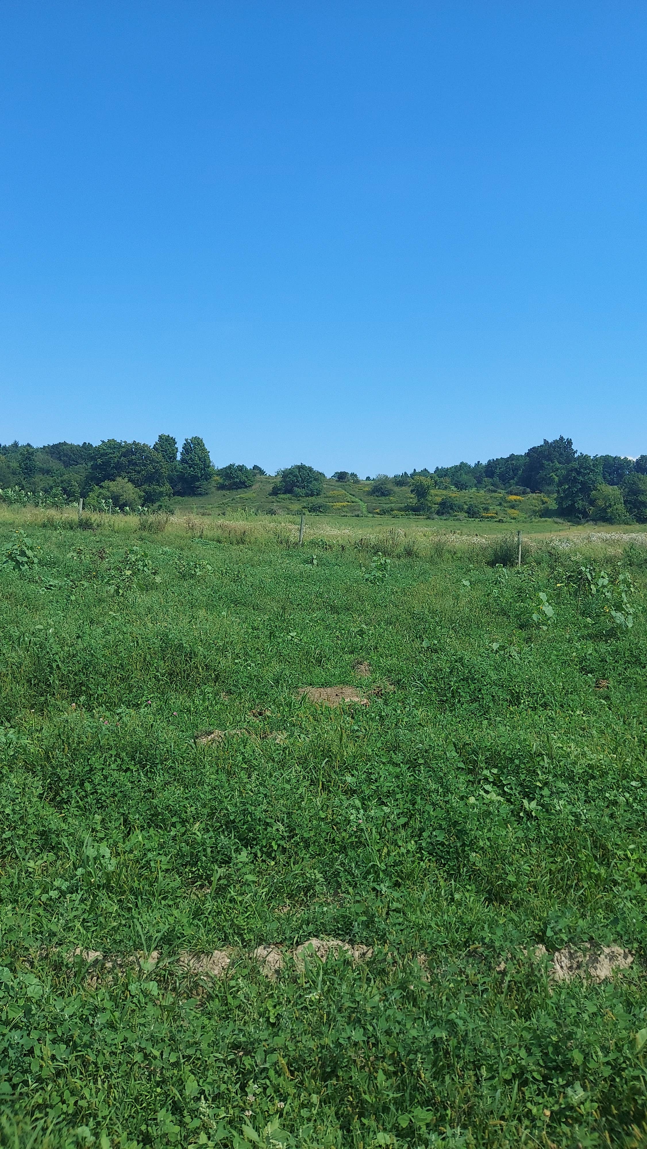 Camper-submitted photo at Birch Hollow Farm near Stillwater, NY