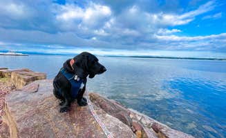 Anthony I.'s photo of camping with pets at Champlain Resort Adult Campground near Burlington, VT