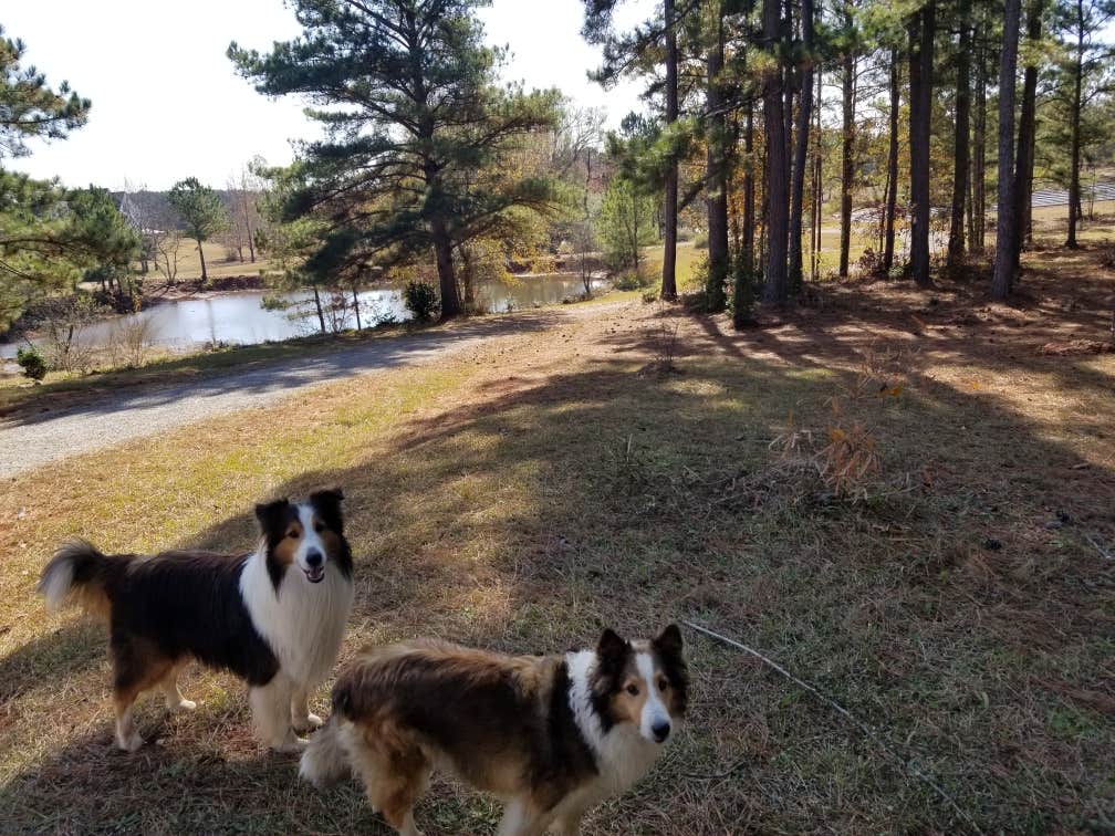 Camping near 3 Creeks Campground: Lone Oak RV Flower Farm, LaGrange, Georgia