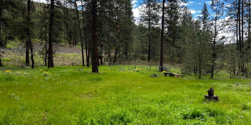 Camper submitted image from Lake Roosevelt Shady Pines