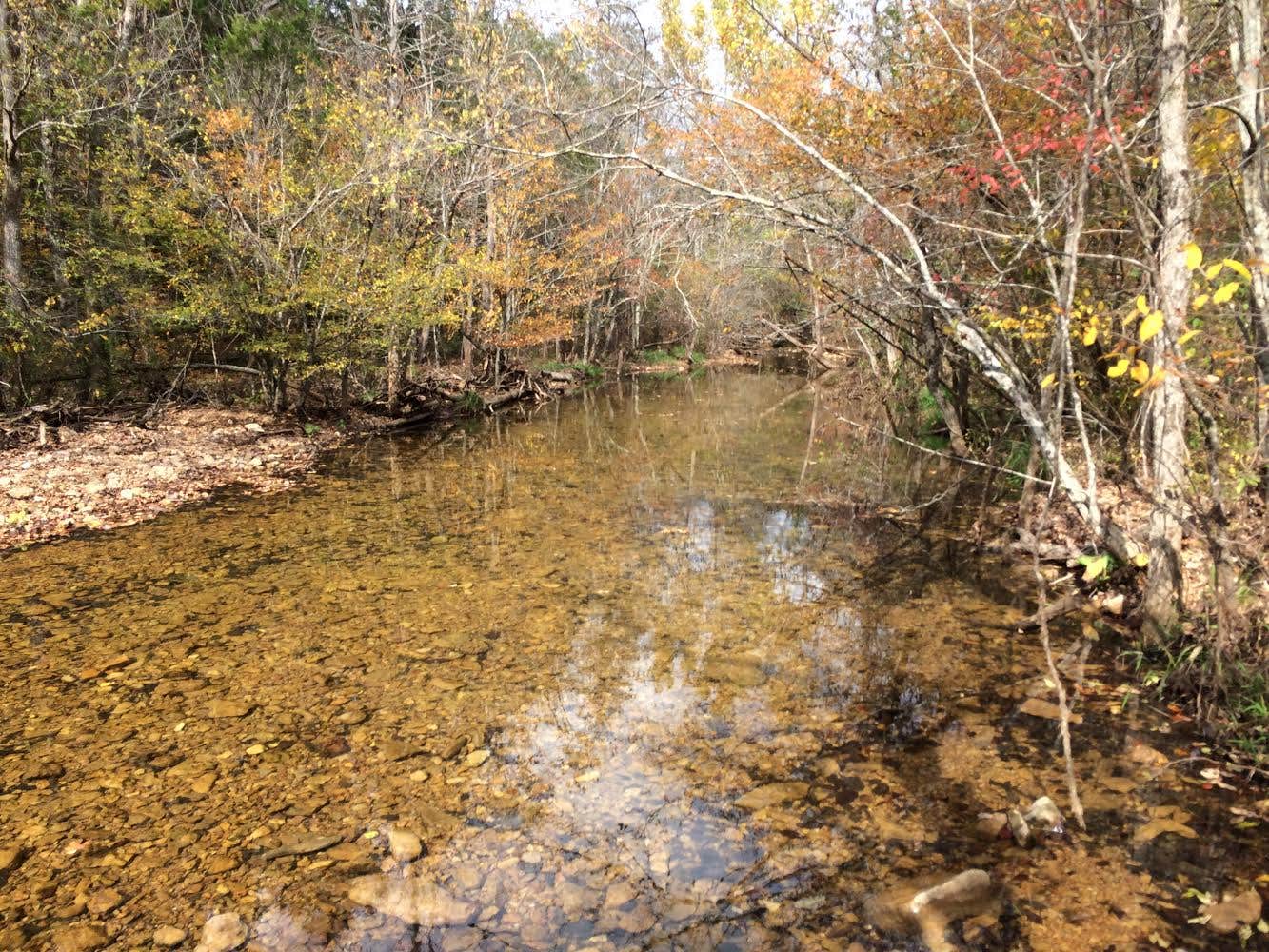 Camper-submitted photo at St. Francois State Park Campground near Imperial, MO