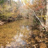 Review photo of St. Francois State Park Campground by Marla F., July 25, 2018