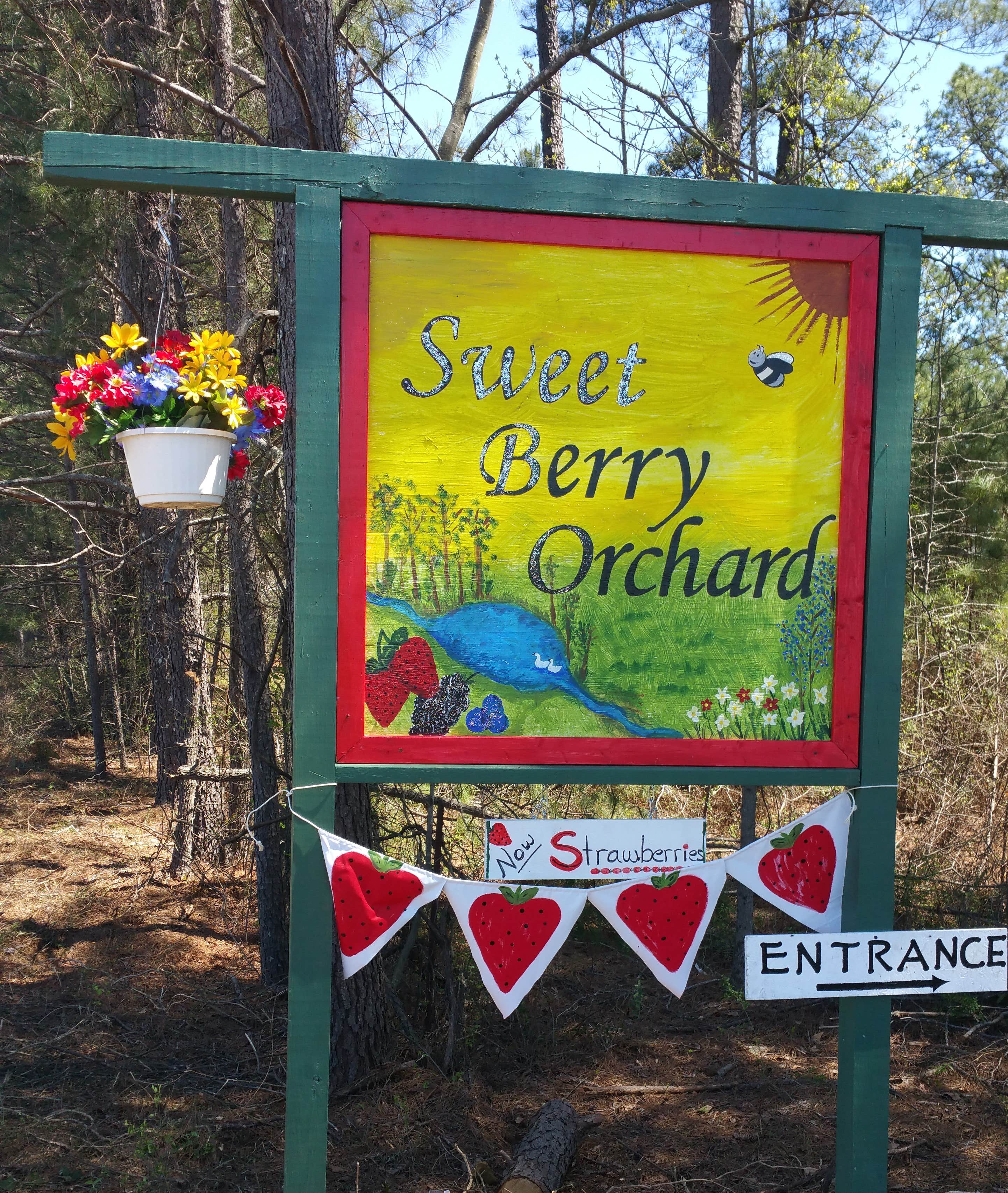 Camper-submitted photo at Lone Oak RV Flower Farm near Peachtree City, GA