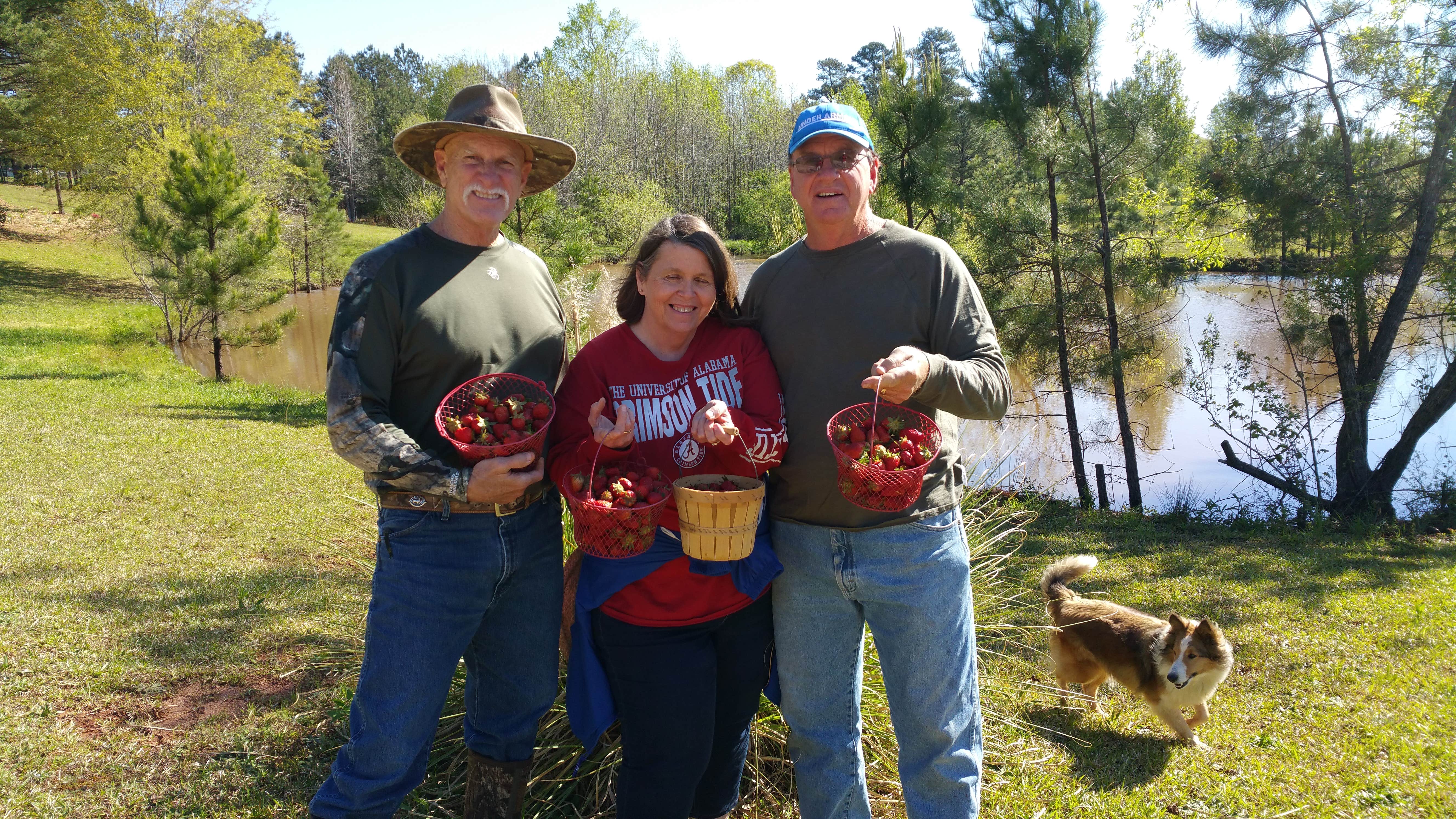 Camper-submitted photo at Lone Oak RV Flower Farm near Peachtree City, GA