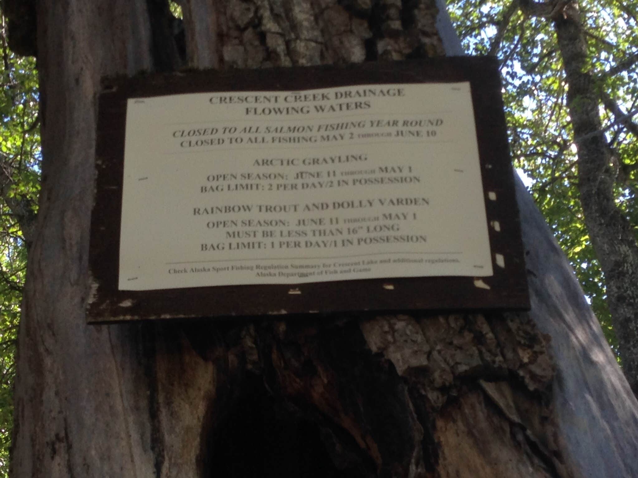 Camper-submitted photo at Quartz Creek Campground near Chugach National Forest