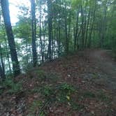 Review photo of Keowee-Toxaway State Park by PHIA S., August 30, 2022