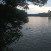 Review photo of Keowee-Toxaway State Park by PHIA S., August 30, 2022