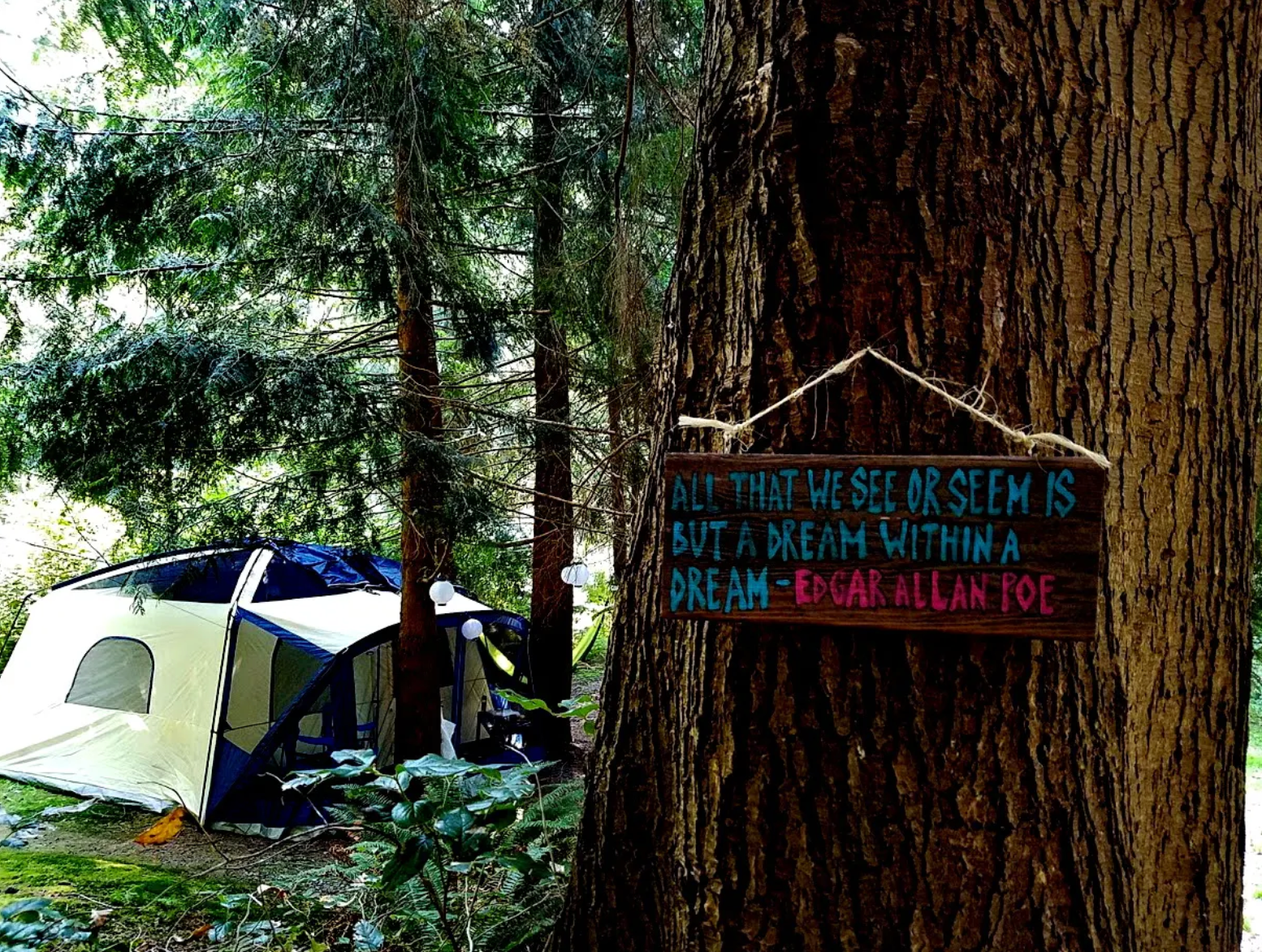 Saraj B.'s photo at The Wolf and the Raven near Sammamish, WA