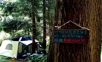 Saraj B.'s photo at The Wolf and the Raven near Snohomish, WA