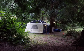 Saraj B.'s photo at The Wolf and the Raven near Lake Stevens, WA