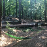 Review photo of Red Top Mountain State Park Campground by Melissa R., July 25, 2018