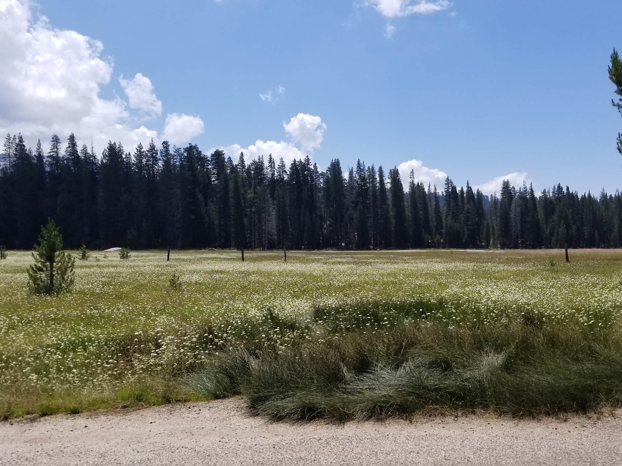 Camper-submitted photo at Big Meadows Campground near Glenbrook, NV