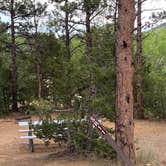 Review photo of Soldier Rock Area — Glendo State Park by Shannon G., August 30, 2022