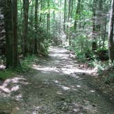Review photo of Twin Ponds Resort Campsite by Meag F., July 27, 2016