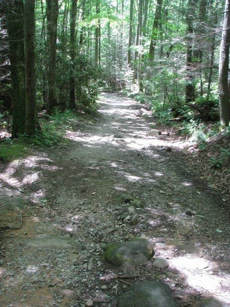 Camper submitted image from Twin Ponds Resort Campsite - 3