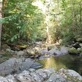 Review photo of Big Creek Campground — Great Smoky Mountains National Park by Katrin M., August 30, 2022