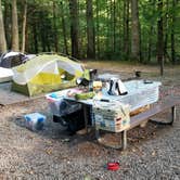 Review photo of Big Creek Campground — Great Smoky Mountains National Park by Katrin M., August 30, 2022