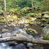 Review photo of Big Creek Campground — Great Smoky Mountains National Park by Katrin M., August 30, 2022