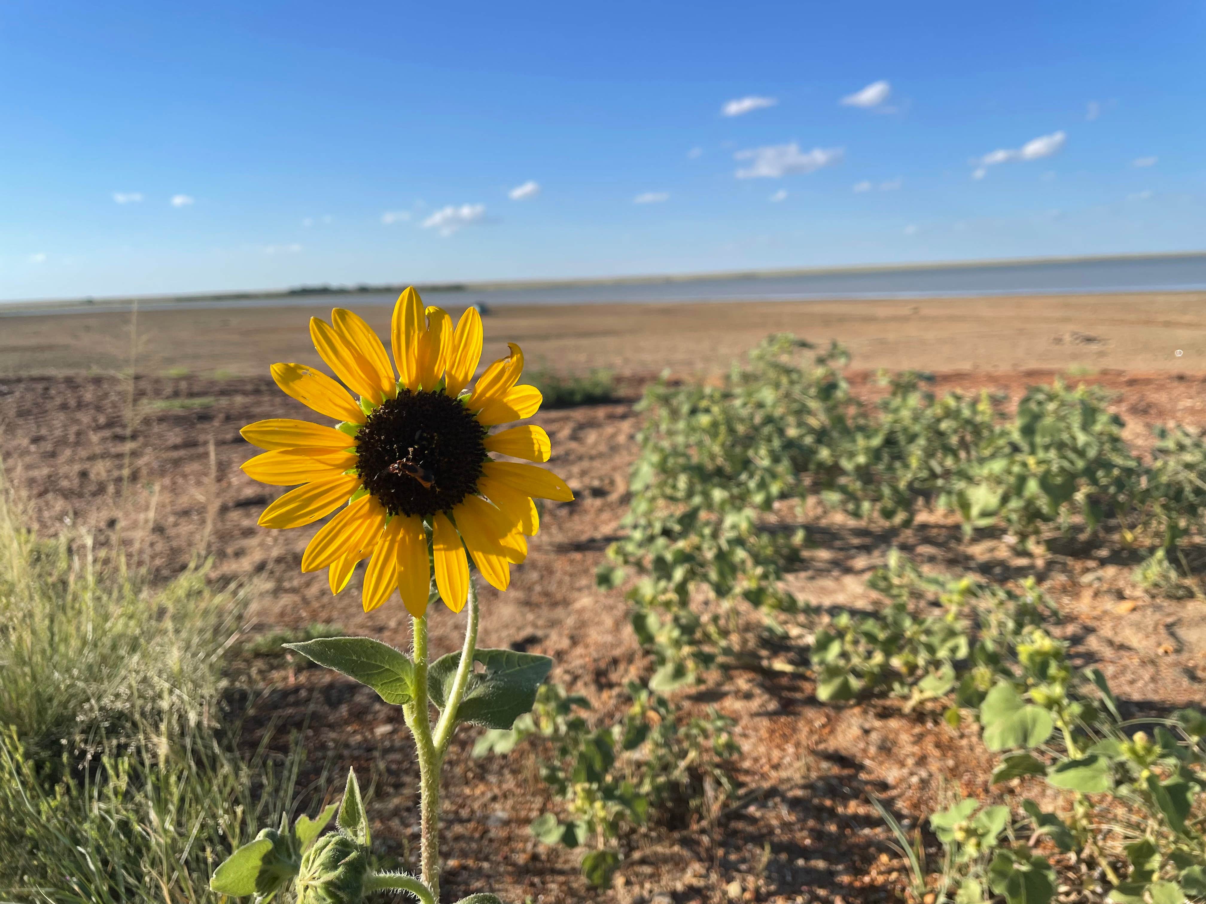 Camper-submitted photo at Lake Henry near Swink, CO
