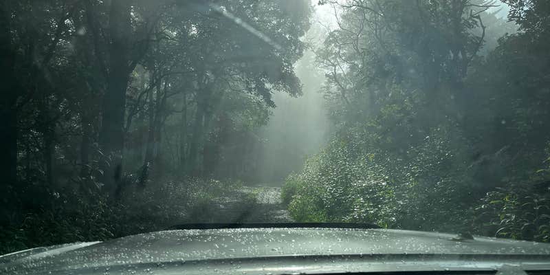 Camper submitted image from Rich Mountain